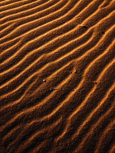棕色砂与影子的人
